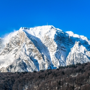 Costila in zi senina