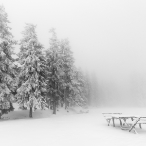 Foggy morning in the mountains