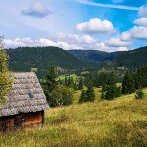 Pe graniță între Bucovine (România / Ucraina)