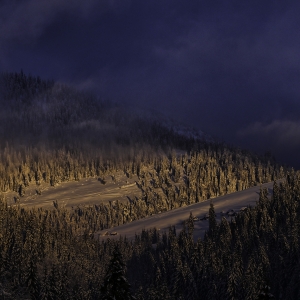 Dimineata in Apuseni