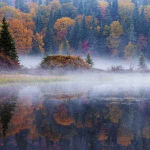 Reflectii de octombrie