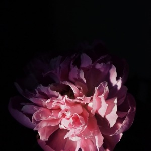 Glowing in the dark.