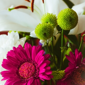 La Multi Ani fotografiei