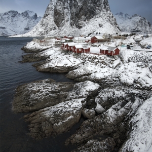 Norvegia