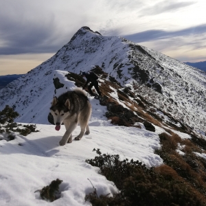 Luna, un prieten de nadejde