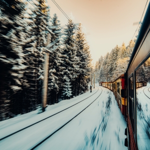 Miros de brad , dor de munte.