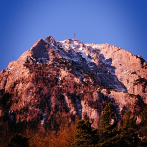 O viziune completa cu flora montana