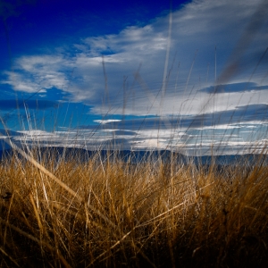 Portiune de natura moarta pe varful unui platou