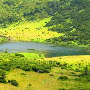 Lacul Știol, Munții Rodnei