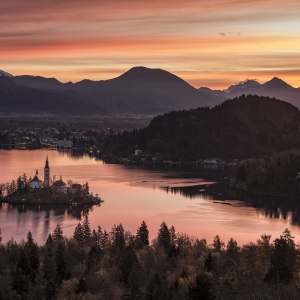BLED