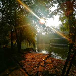 Aleea către soare