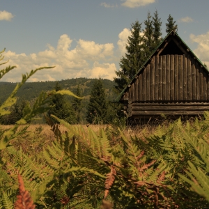 cabana in munti