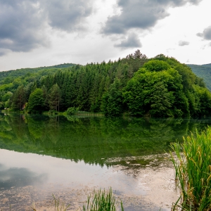 Verde de Miniș