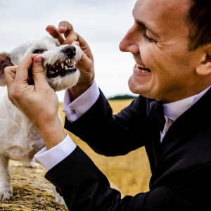 Dințișorii lui Afi