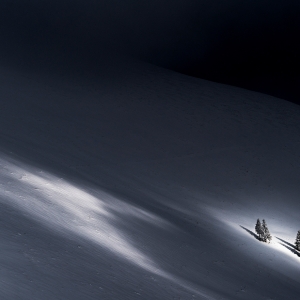 In lumina reflectoarelor