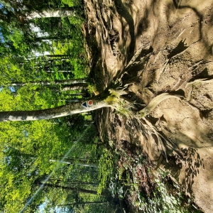 Pământul și viața sa .