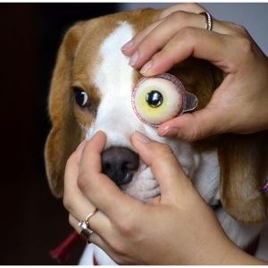 Se putea si mai rau :D