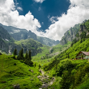 When nature loves you back