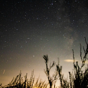 Perseids