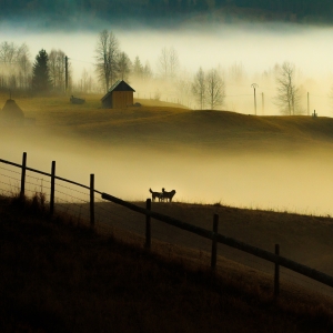 Rasarit in Bucovina