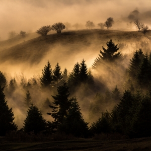 Rasarit in Bucovina