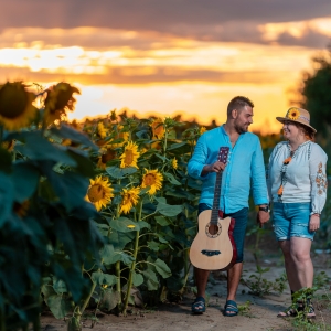 Apus in lanul de floarea soarelui