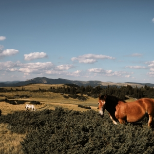 Doar o secunda si te las