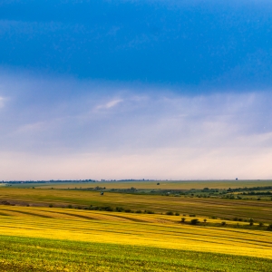 Fields of almost gold