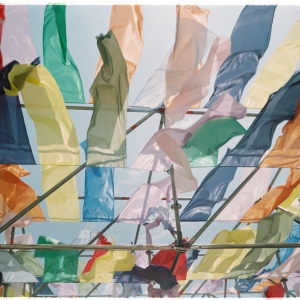 Languages in Contrast