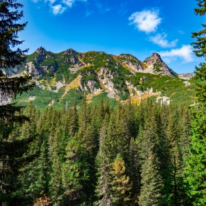 Muntii Retezat. 'Rama' naturala din brazi