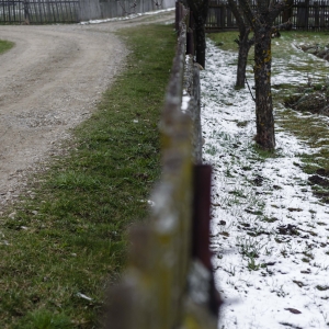 Oscilarea anotimpurilor