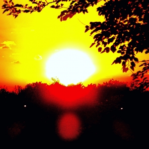 Pirvan Valentin Florin 