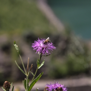 Somebody needs to work