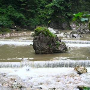 Calatorie in natura 