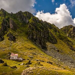 Pe Transfăgărășan 